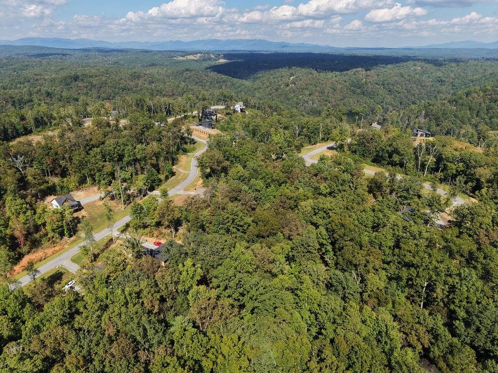 other for sale at 21 Lake Top Lane, Ellijay, GA 30536 — photo 10