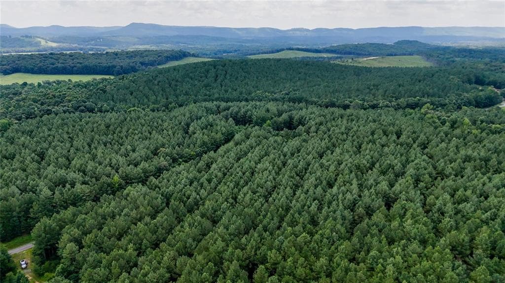 unimproved land for sale at 0 Tract 5 Back Valley Road, Lyerly, GA 30730 — photo 1 of 4