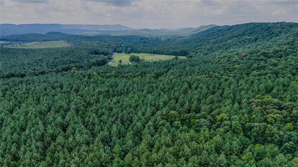 unimproved land for sale at 0 Tract 5 Back Valley Road, Lyerly, GA 30730 — photo 3