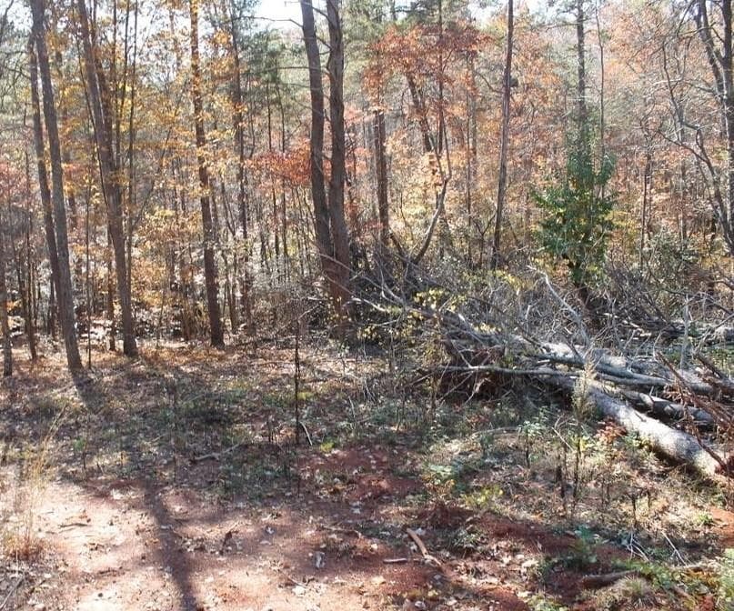 unimproved land for sale at 442 Laurel Mountain Drive, Toccoa, GA 30577 — photo 5