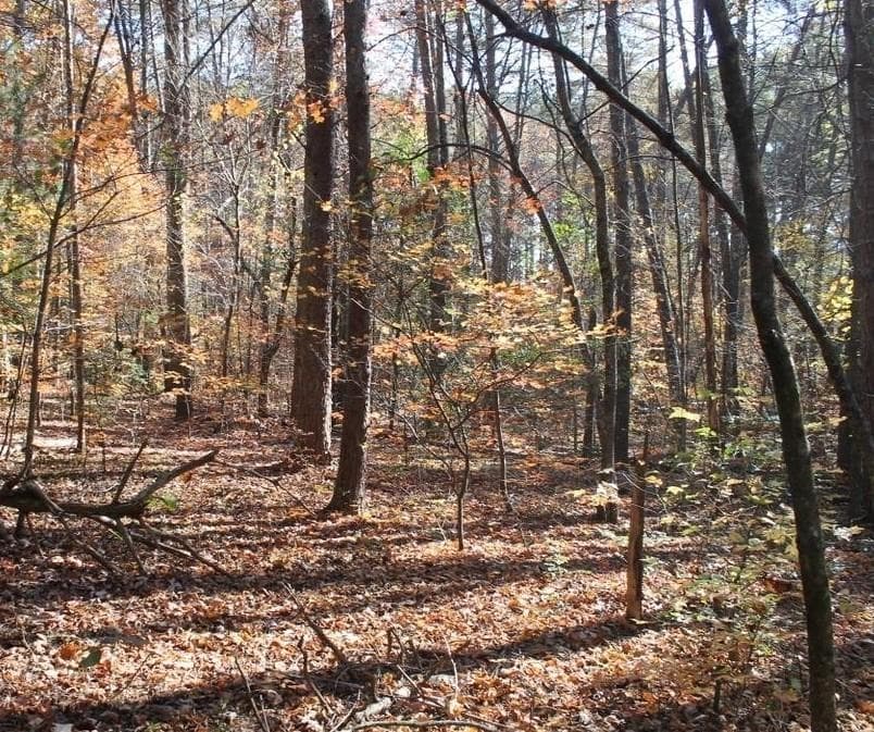 unimproved land for sale at 442 Laurel Mountain Drive, Toccoa, GA 30577 — photo 6