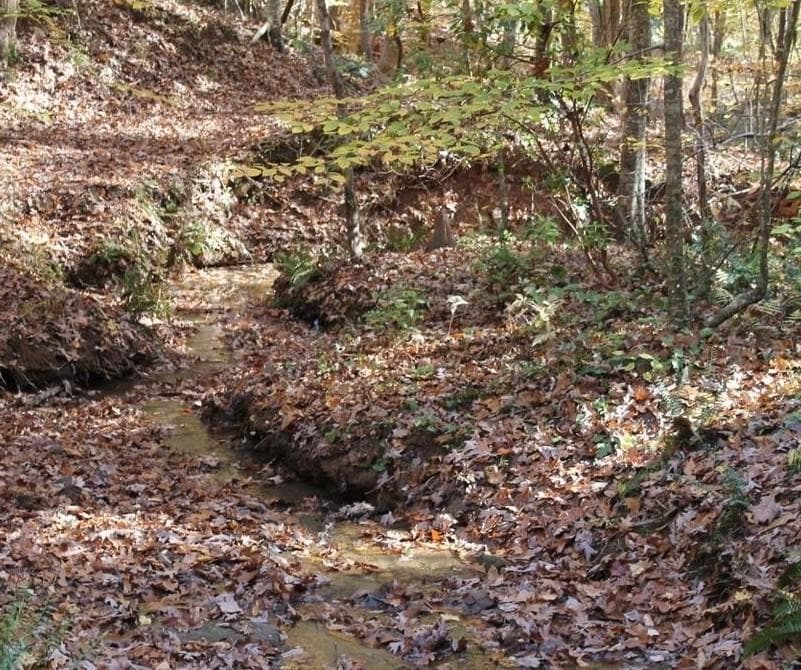 unimproved land for sale at 442 Laurel Mountain Drive, Toccoa, GA 30577 — photo 7