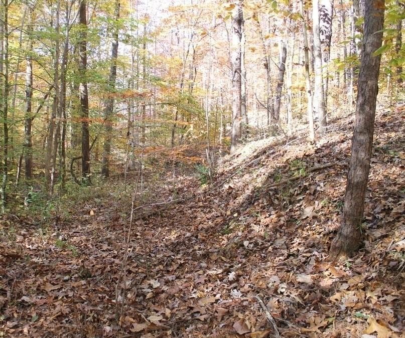unimproved land for sale at 442 Laurel Mountain Drive, Toccoa, GA 30577 — photo 8