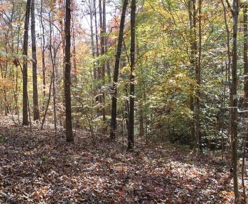 unimproved land for sale at 442 Laurel Mountain Drive, Toccoa, GA 30577 — photo 9