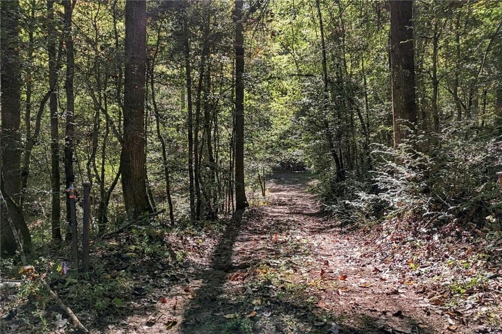 3 bedroom, 2 bathroom single family residence for sale at 108 Charlottes Web Lane, Ellijay, GA 30540 — photo 8