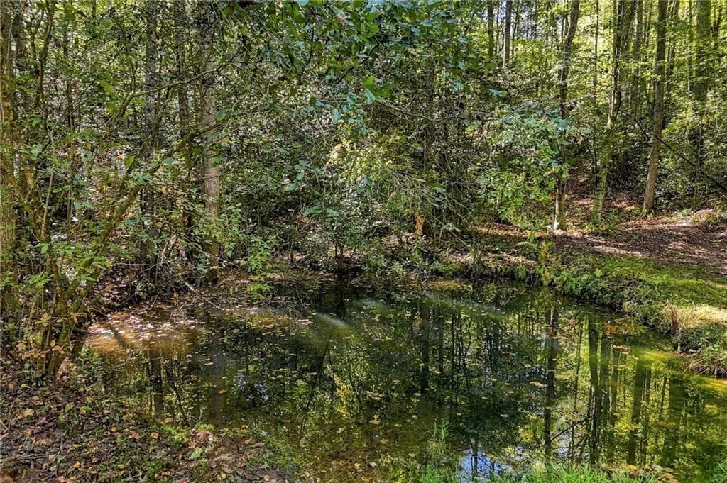 3 bedroom, 2 bathroom single family residence for sale at 108 Charlottes Web Lane, Ellijay, GA 30540 — photo 10