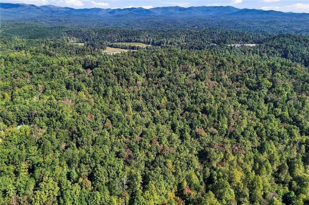 3 bedroom, 2 bathroom single family residence for sale at 108 Charlottes Web Lane, Ellijay, GA 30540 — photo 7