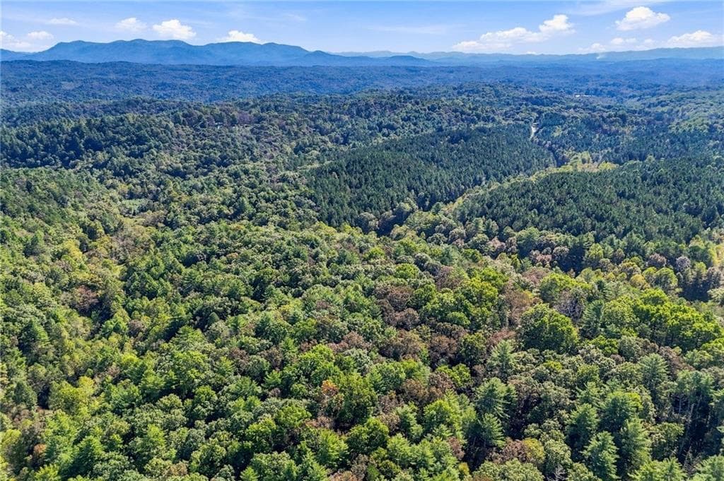 3 bedroom, 2 bathroom single family residence for sale at 108 Charlottes Web Lane, Ellijay, GA 30540 — photo 6