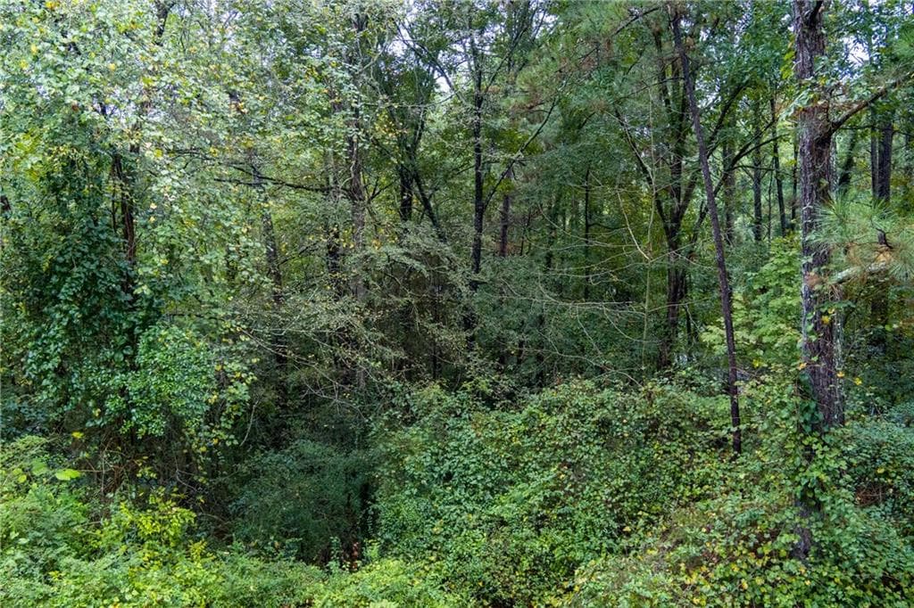 unimproved land for sale at 2251 Sumner Court, Conyers, GA 30012 — photo 3