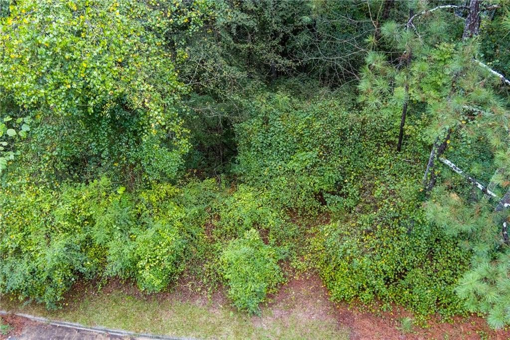 unimproved land for sale at 2251 Sumner Court, Conyers, GA 30012 — photo 4