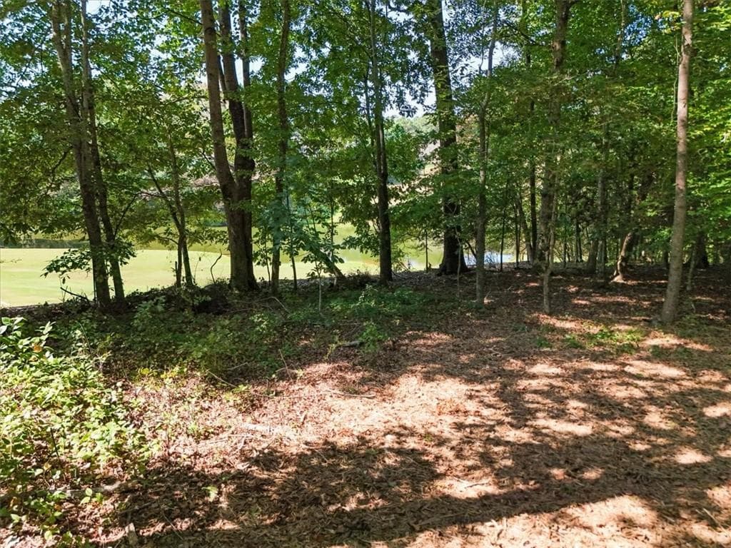 unimproved land for sale at 0 Lineberry Lane, Cumming, GA 30028 — photo 4