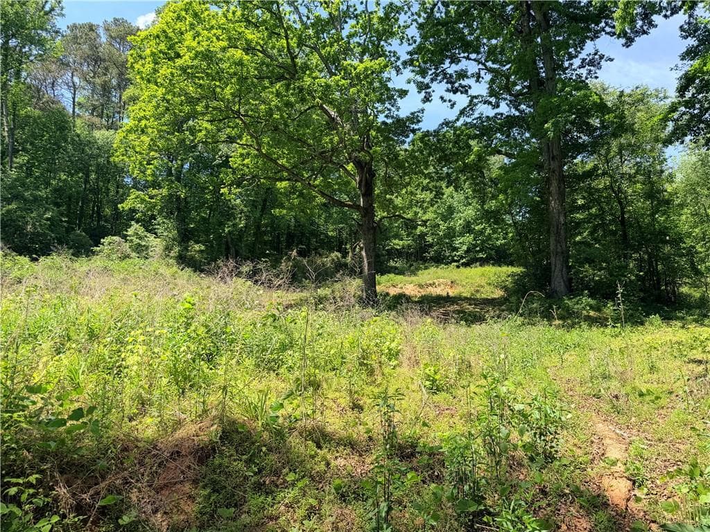 unimproved land for sale at 0 Old Hwy 5, Ellijay, GA 30540 — photo 1 of 20