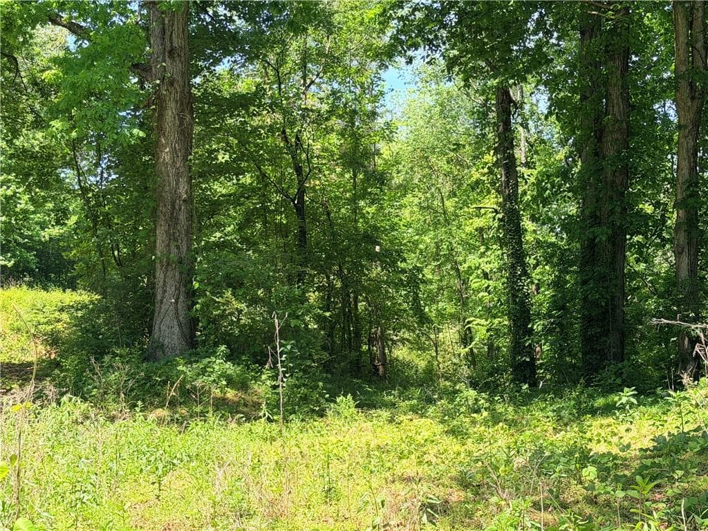 unimproved land for sale at 0 Old Hwy 5, Ellijay, GA 30540 — photo 2