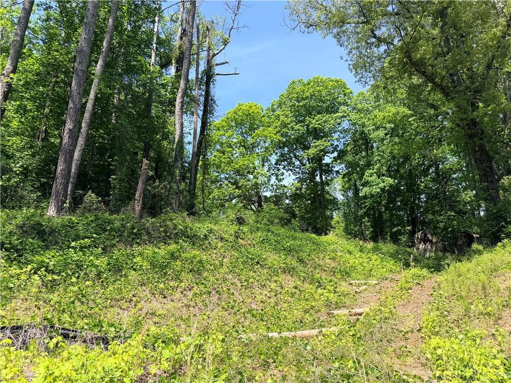 unimproved land for sale at 0 Old Hwy 5, Ellijay, GA 30540 — photo 3