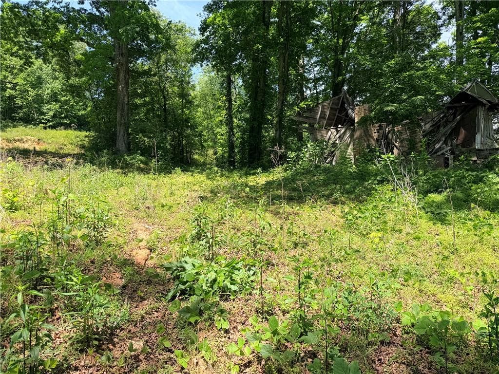unimproved land for sale at 0 Old Hwy 5, Ellijay, GA 30540 — photo 4