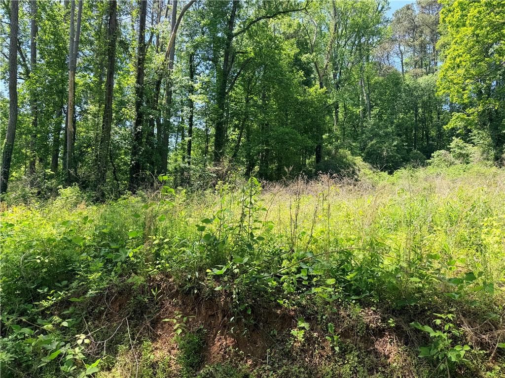 unimproved land for sale at 0 Old Hwy 5, Ellijay, GA 30540 — photo 5