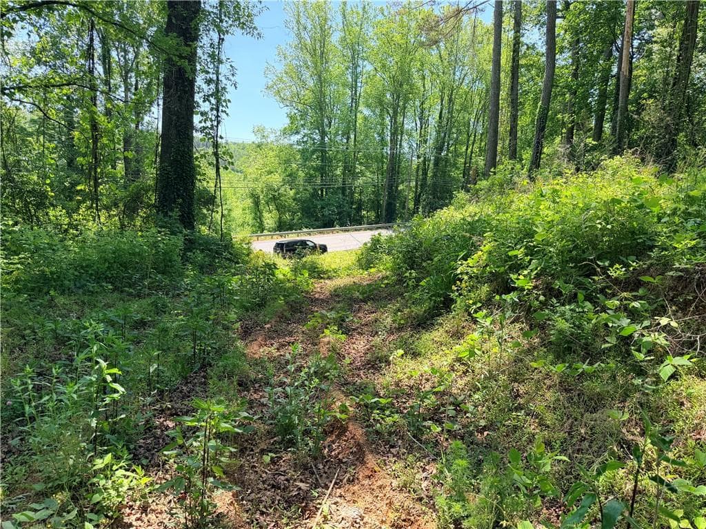 unimproved land for sale at 0 Old Hwy 5, Ellijay, GA 30540 — photo 6