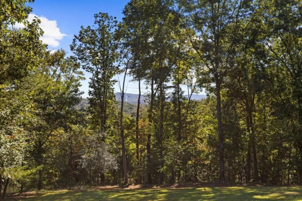 3 bedroom, 2 bathroom, 1,440 sq ft single family residence for sale at 36 Deep Cove Road, Blue Ridge, GA 30513 — photo 5