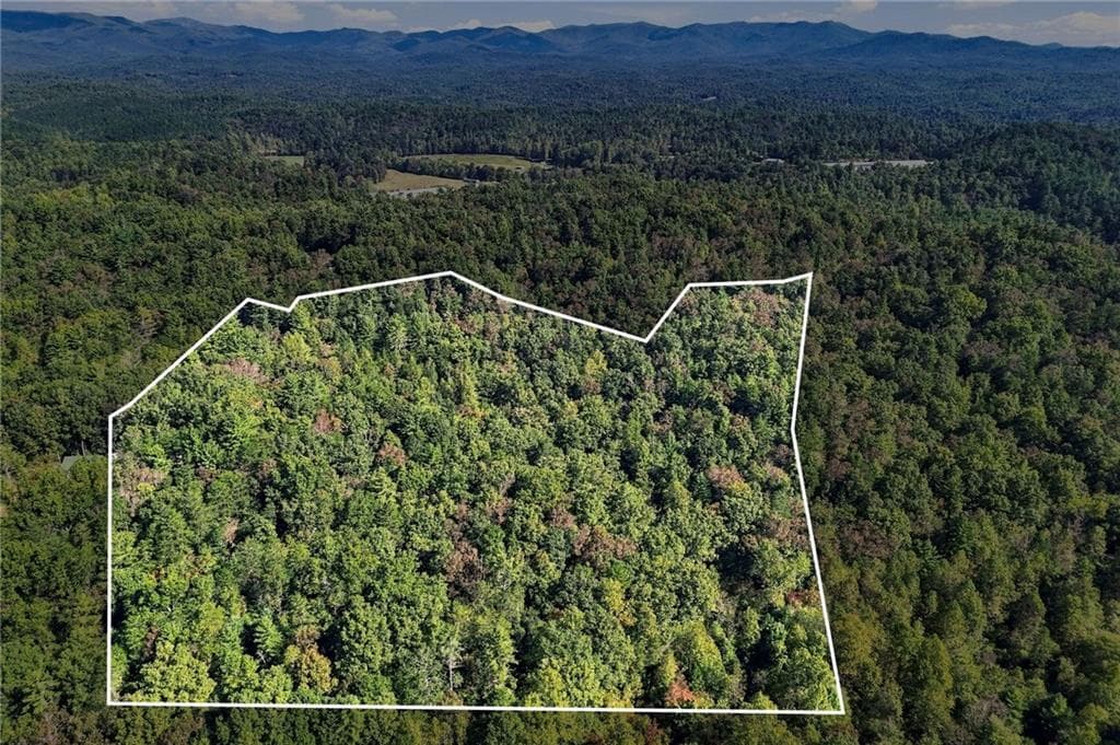 3 bedroom, 2 bathroom single family residence for sale at 108 Charlottes Web Lane, Ellijay, GA 30540 — photo 3
