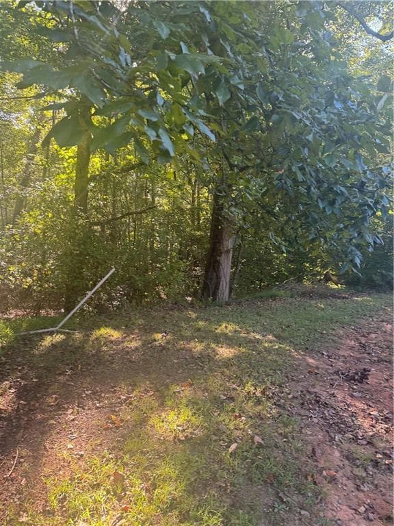 3 bedroom, 2 bathroom, 1,248 sq ft single family residence for sale at 2005 Seven Mile Hill Road, Dahlonega, GA 30533 — photo 6