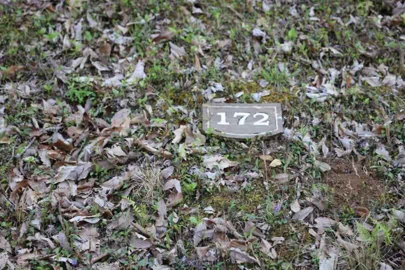 single family residence for sale at 172 Trailwood Drive, Ellijay, GA 30540