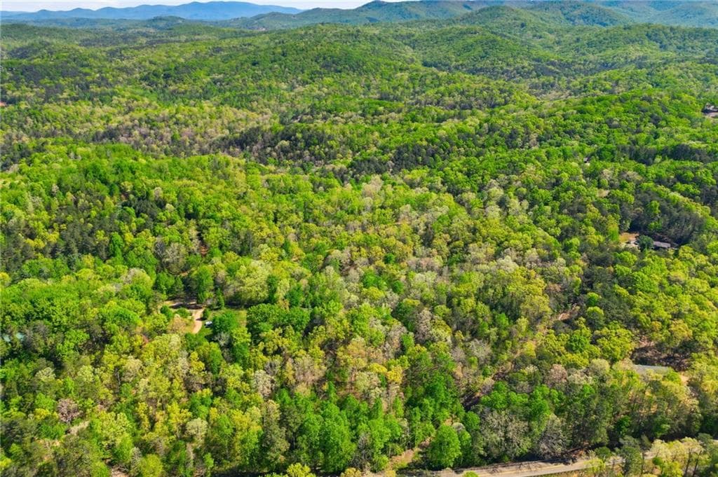 unimproved land for sale at 1933 Highway 136, Talking Rock, GA 30175 — photo 1 of 8