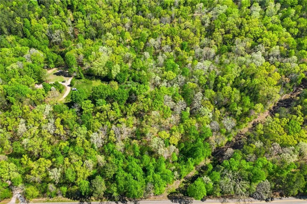 unimproved land for sale at 1933 Highway 136, Talking Rock, GA 30175 — photo 2