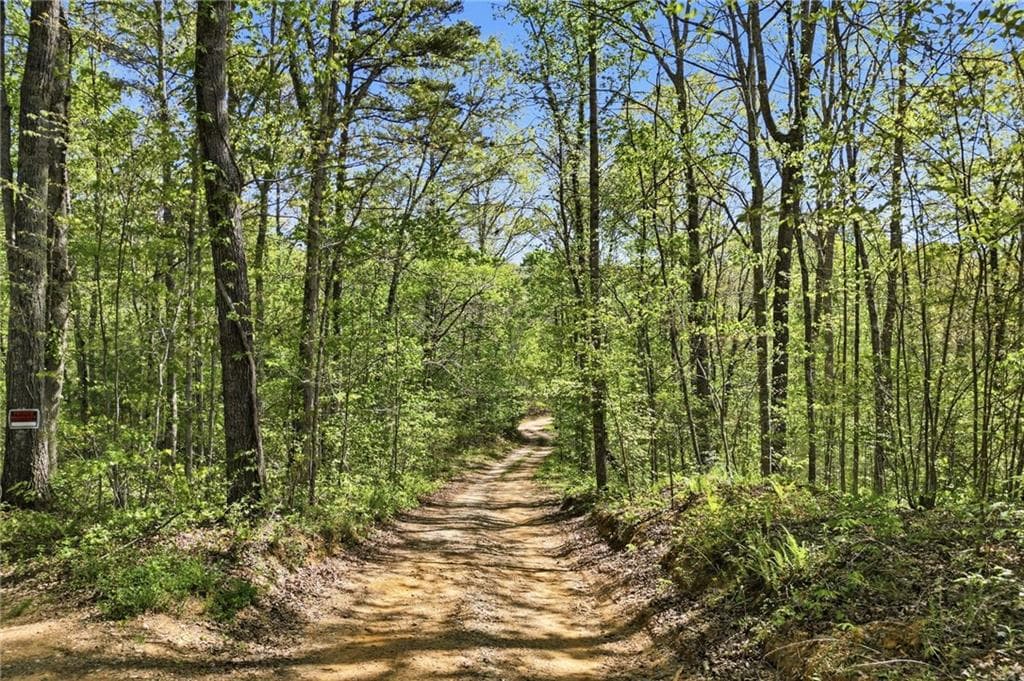 unimproved land for sale at 1933 Highway 136, Talking Rock, GA 30175 — photo 3