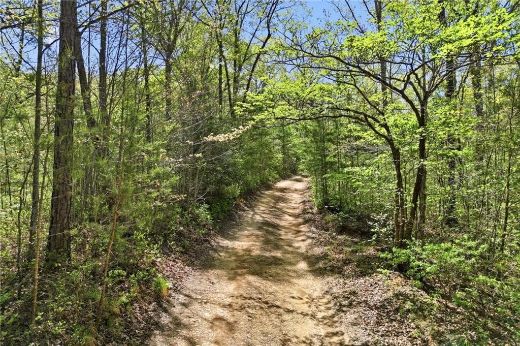 unimproved land for sale at 1933 Highway 136, Talking Rock, GA 30175 — photo 4