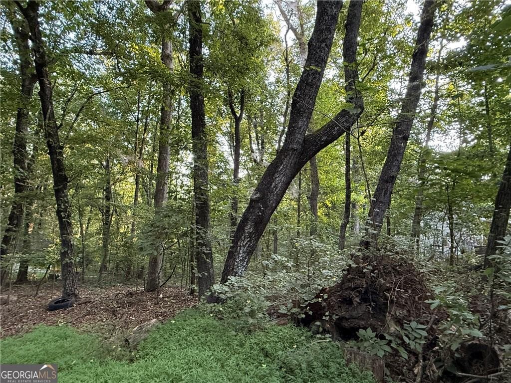 other for sale at 2726 Vaughandale Circle, Gainesville, GA 30506 — photo 2