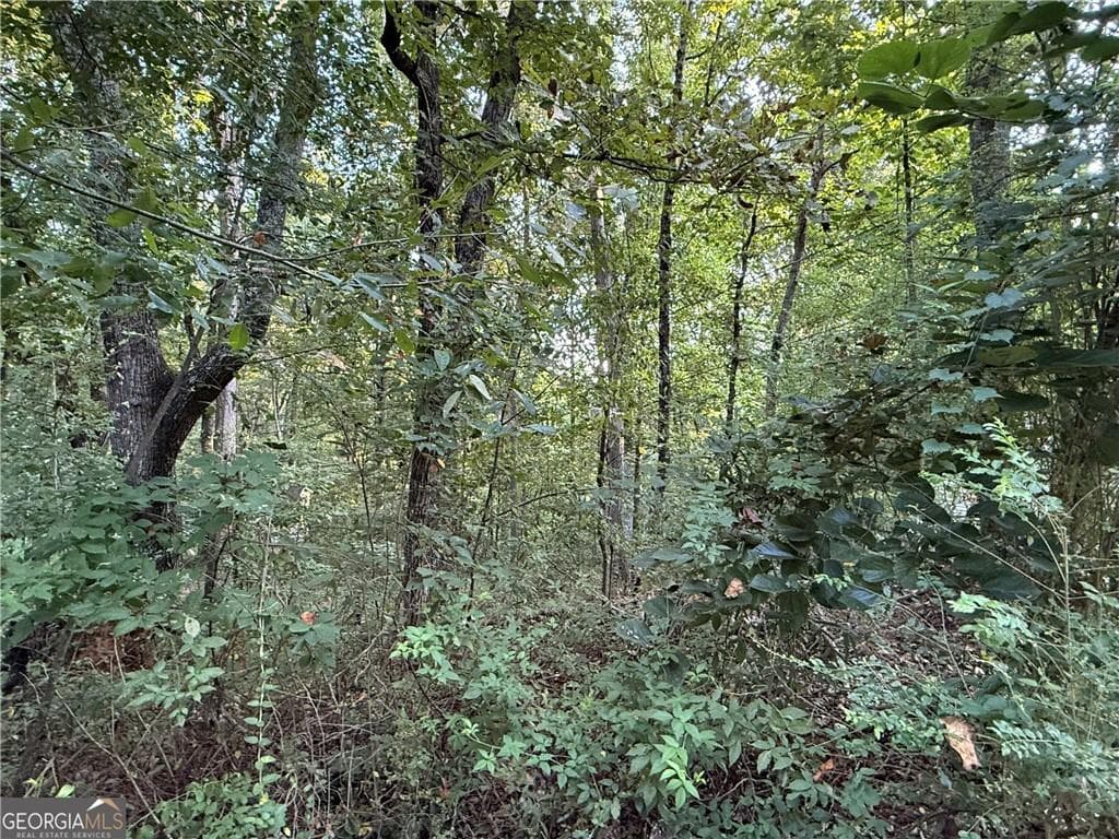 other for sale at 2726 Vaughandale Circle, Gainesville, GA 30506 — photo 3