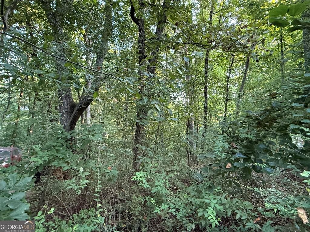other for sale at 2726 Vaughandale Circle, Gainesville, GA 30506 — photo 4