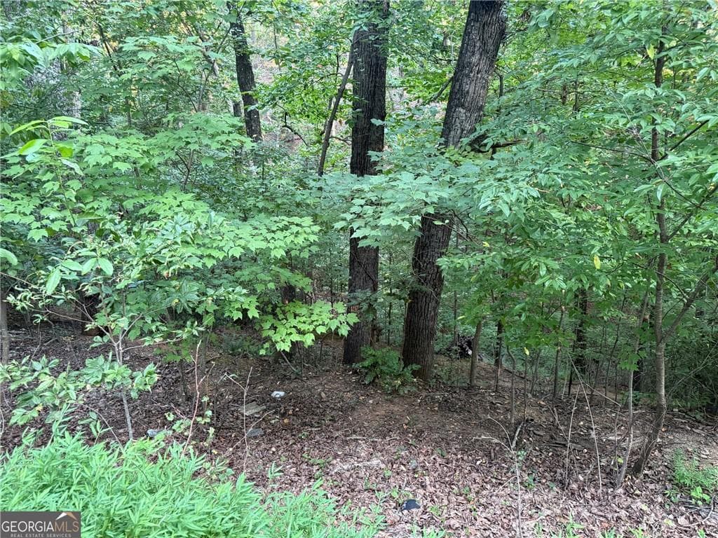 other for sale at 2333 Ford White Road, Gainesville, GA 30506