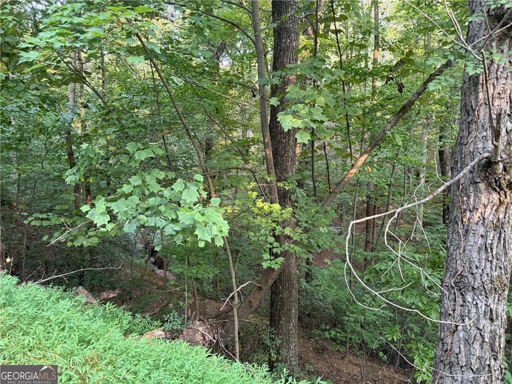 other for sale at 2333 Ford White Road, Gainesville, GA 30506 — photo 2