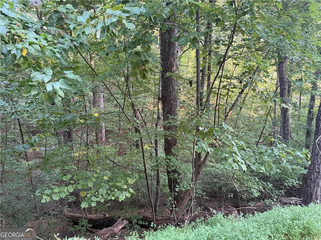 other for sale at 2333 Ford White Road, Gainesville, GA 30506 — photo 3