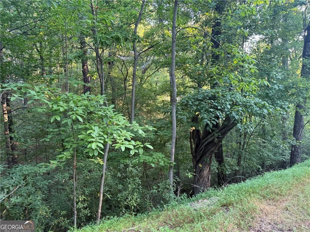 other for sale at 2333 Ford White Road, Gainesville, GA 30506 — photo 4
