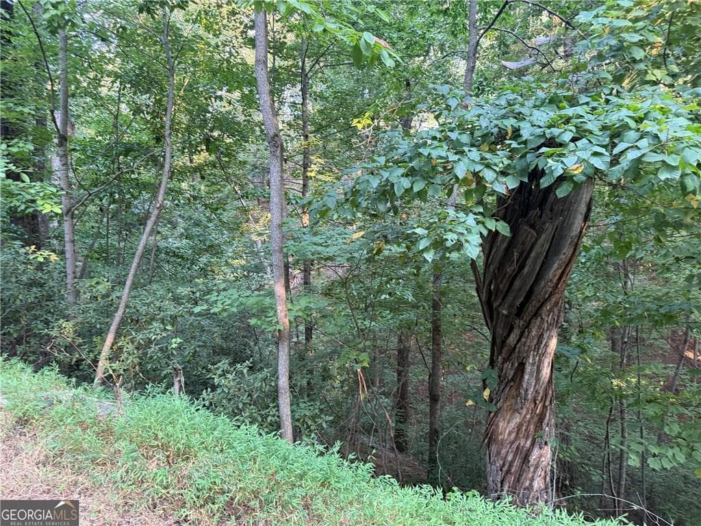other for sale at 2333 Ford White Road, Gainesville, GA 30506 — photo 5
