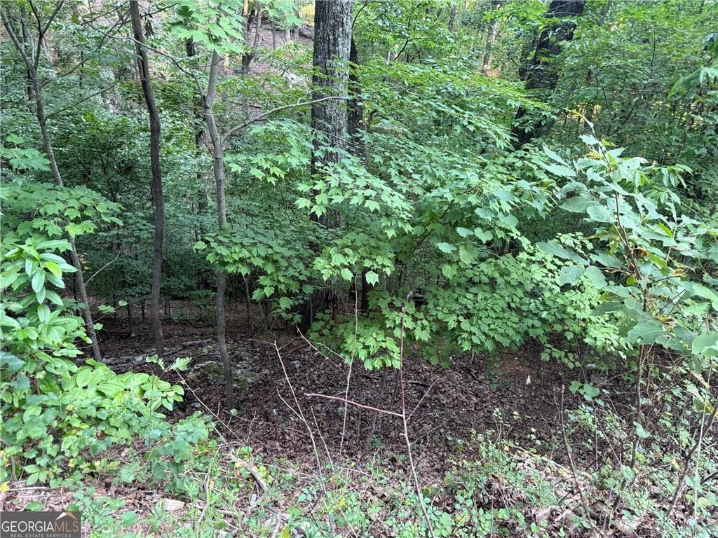 other for sale at 2329 Ford White Road, Gainesville, GA 30506 — photo 2