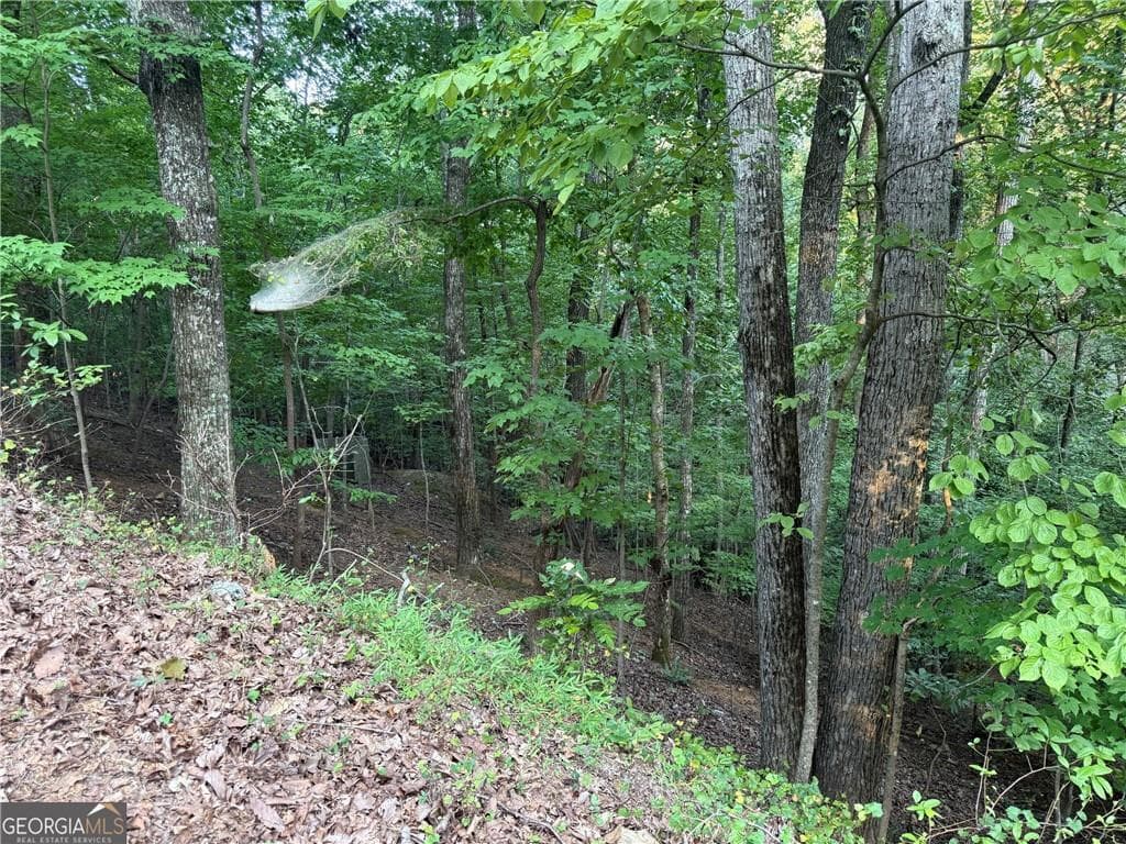 other for sale at 2329 Ford White Road, Gainesville, GA 30506 — photo 3