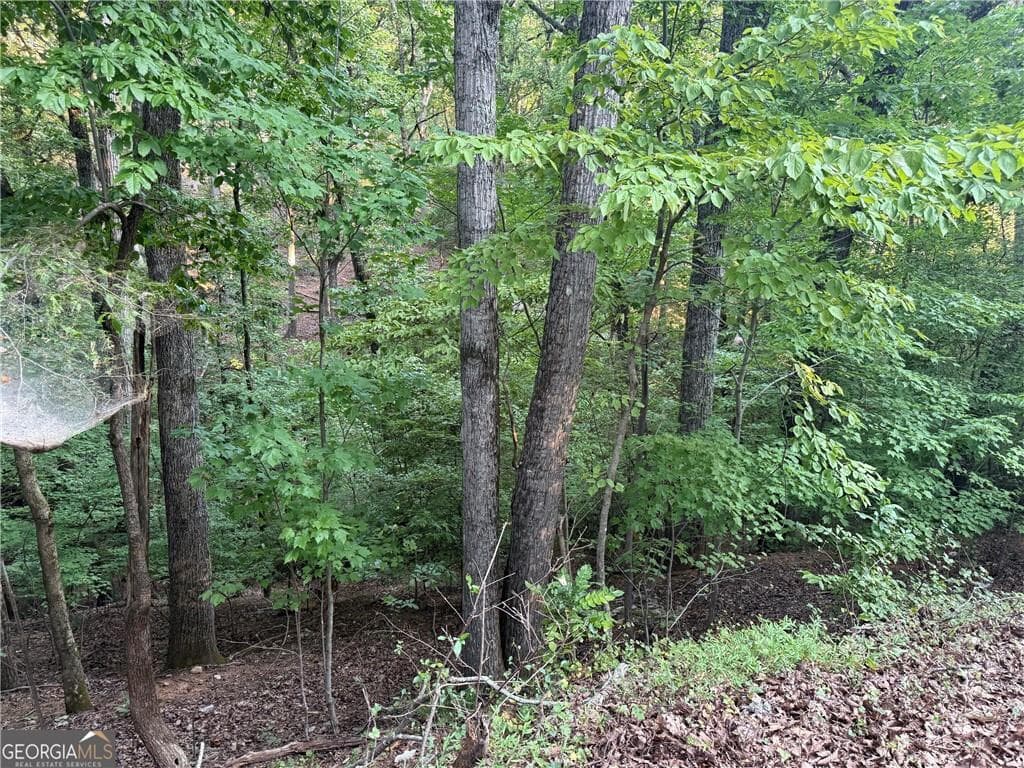 other for sale at 2329 Ford White Road, Gainesville, GA 30506 — photo 4