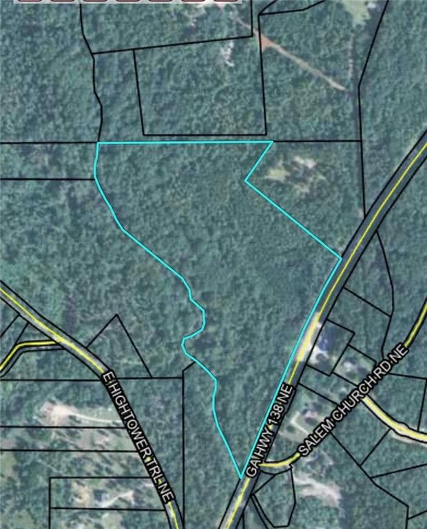 unimproved land for sale at 0 Ne Salem Church Road, Conyers, GA 30013 — photo 2