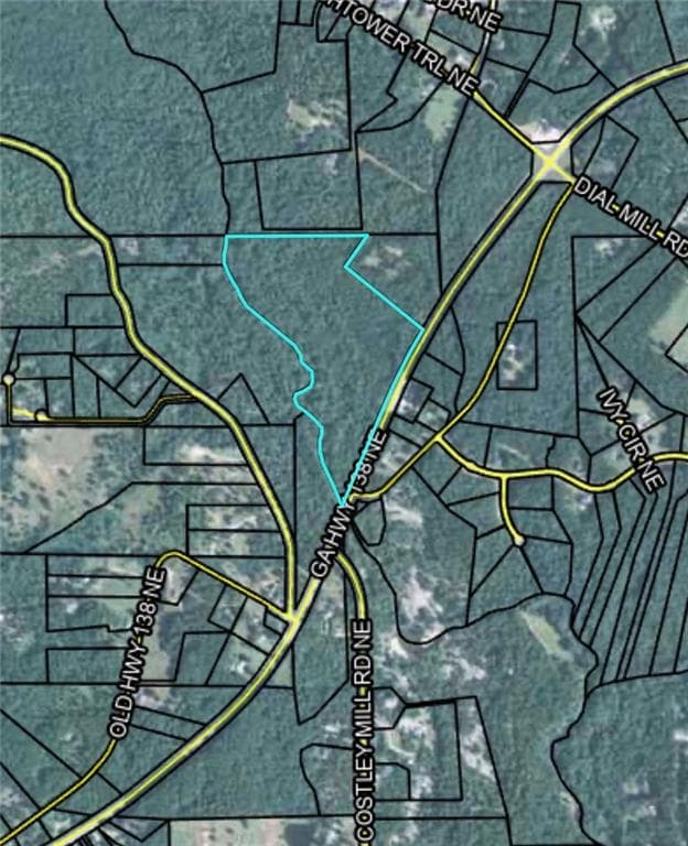unimproved land for sale at 0 Ne Salem Church Road, Conyers, GA 30013 — photo 4