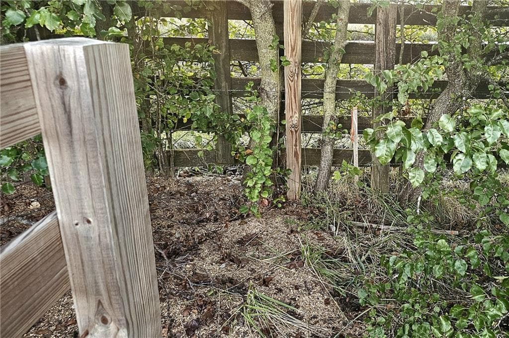 other for sale at 640 Pendley Road, Calhoun, GA 30701 — photo 4