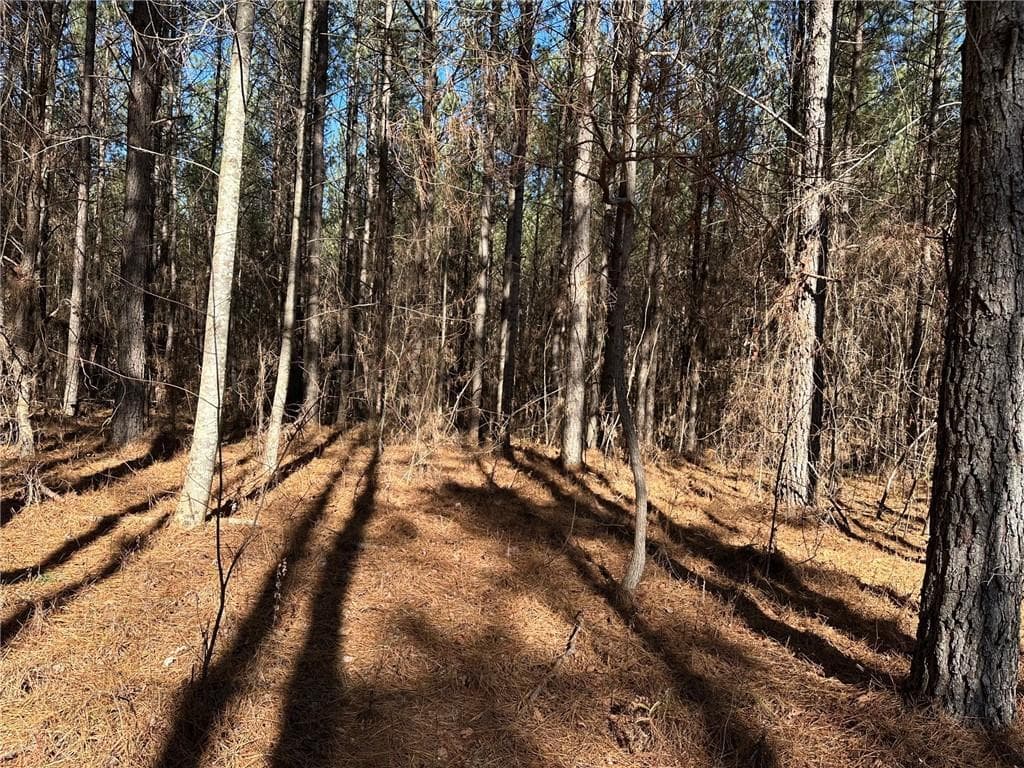single family residence for sale at 1107 Larmon Forks Road, Dahlonega, GA 30533