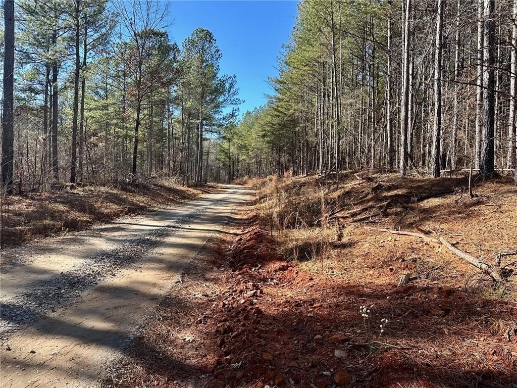 single family residence for sale at 1107 Larmon Forks Road, Dahlonega, GA 30533 — photo 2