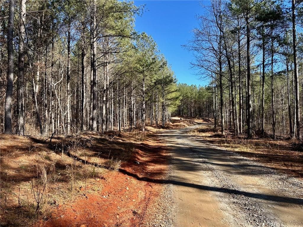 single family residence for sale at 1107 Larmon Forks Road, Dahlonega, GA 30533 — photo 3