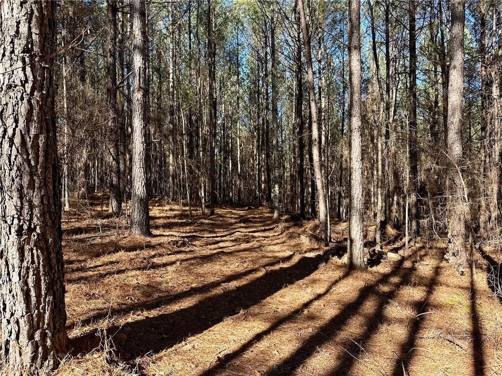 single family residence for sale at 1107 Larmon Forks Road, Dahlonega, GA 30533 — photo 5
