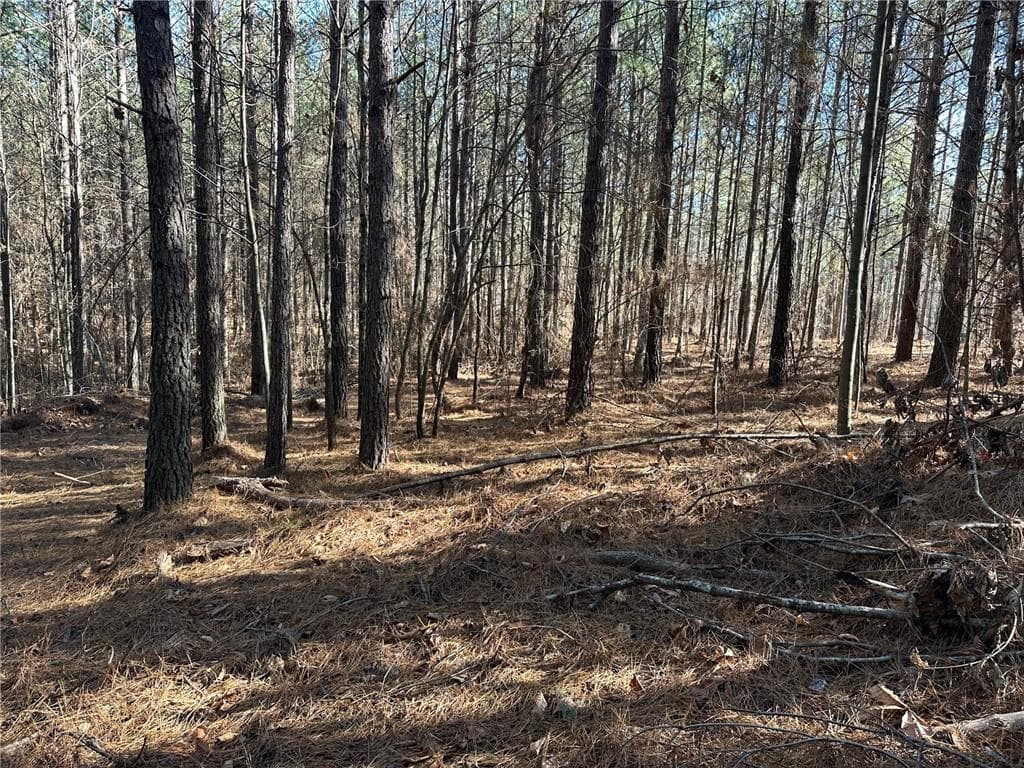single family residence for sale at 1107 Larmon Forks Road, Dahlonega, GA 30533 — photo 7
