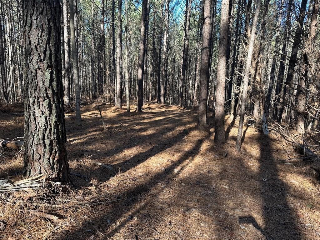 single family residence for sale at 1107 Larmon Forks Road, Dahlonega, GA 30533 — photo 9