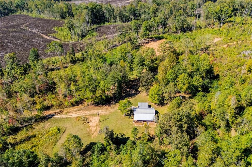 2 bedroom, 1 bathroom, 1,152 sq ft single family residence for sale at 1005 County Road 204, Heflin, AL 36264 — photo 3